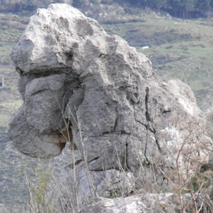 Cucciolo dolomitico